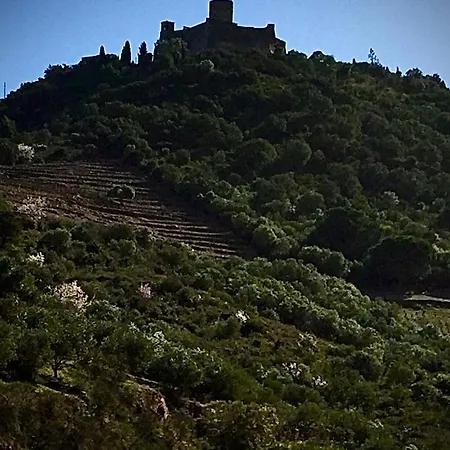 Olive & Kin, Lejlighed *