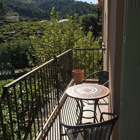 Olive & Kin, Collioure