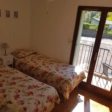 Olive & Kin, 콜리우르