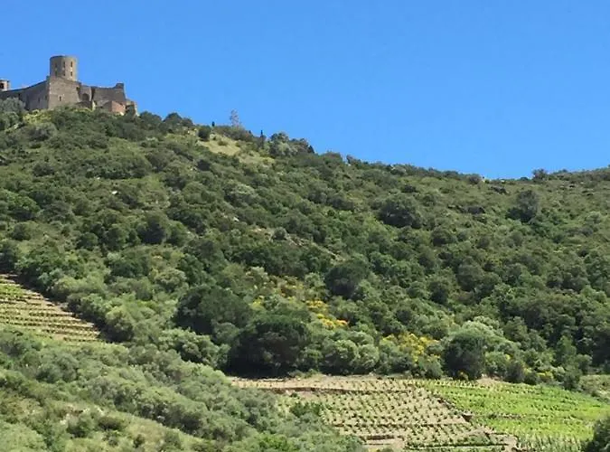 Appartement Olive & Kin, Collioure